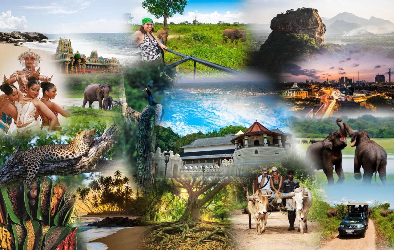 Sri Lanka Highlights